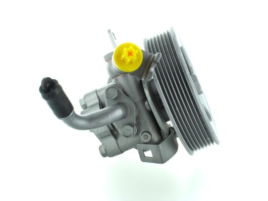GKNY10003 GKN-SPIDAN - Насос гідропідсилювача керма