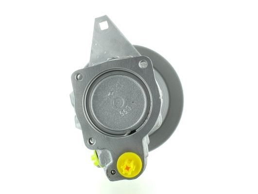 GKNY10004 GKN-SPIDAN - Насос гідропідсилювача керма