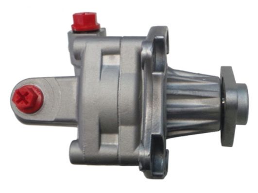 GKNY10006 GKN-SPIDAN - Насос гідропідсилювача керма