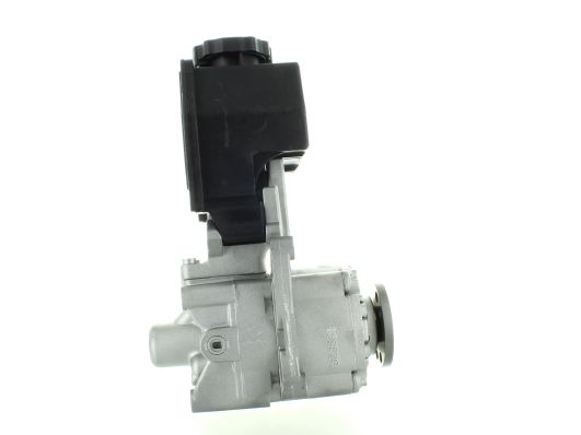 GKNY10009 GKN-SPIDAN - Насос гідропідсилювача керма