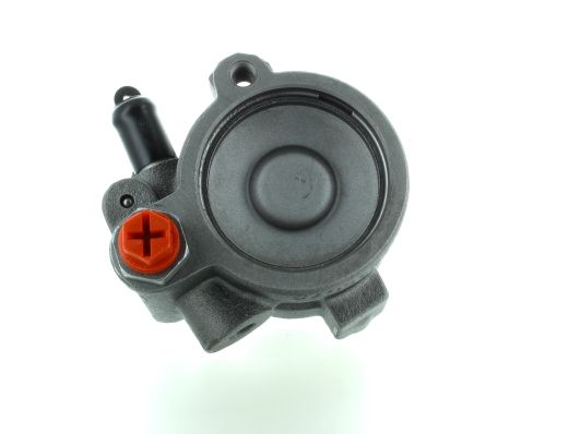 GKNY10012 GKN-SPIDAN - Насос гідропідсилювача керма