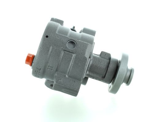 GKNY10012 GKN-SPIDAN - Насос гідропідсилювача керма