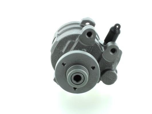 GKNY10012 GKN-SPIDAN - Насос гідропідсилювача керма