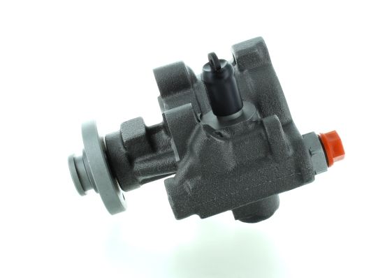 GKNY10012 GKN-SPIDAN - Насос гідропідсилювача керма
