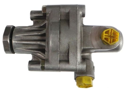GKNY10013 GKN-SPIDAN - Насос гідропідсилювача керма