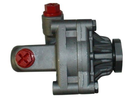 GKNY10014 GKN-SPIDAN - Насос гідропідсилювача керма