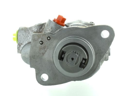 GKNY10015 GKN-SPIDAN - Насос гідропідсилювача керма