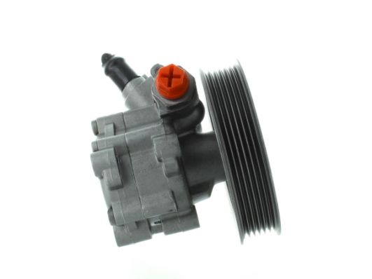 GKNY10017 GKN-SPIDAN - Насос гідропідсилювача керма