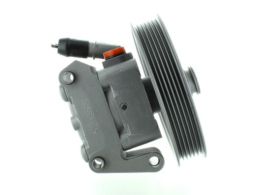 GKNY10018 GKN-SPIDAN - Насос гідропідсилювача керма