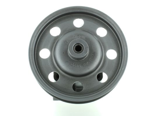 GKNY10018 GKN-SPIDAN - Насос гідропідсилювача керма