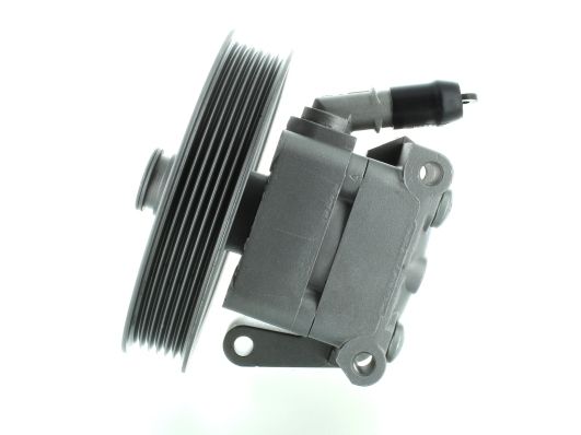 GKNY10018 GKN-SPIDAN - Насос гідропідсилювача керма