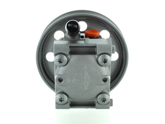 GKNY10018 GKN-SPIDAN - Насос гідропідсилювача керма
