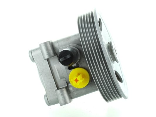 GKNY10019 GKN-SPIDAN - Насос гідропідсилювача керма