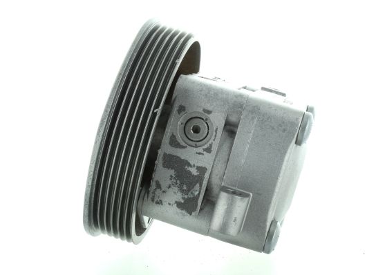GKNY10019 GKN-SPIDAN - Насос гідропідсилювача керма