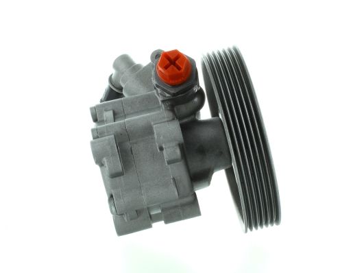 GKNY10020 GKN-SPIDAN - Насос гідропідсилювача керма