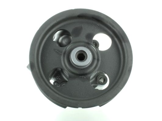 GKNY10021 GKN-SPIDAN - Насос гідропідсилювача керма