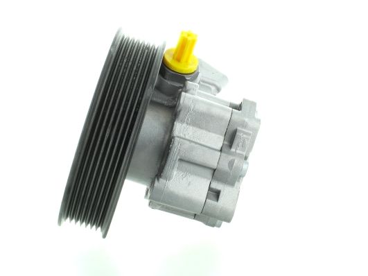 GKNY10021 GKN-SPIDAN - Насос гідропідсилювача керма