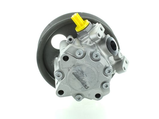 GKNY10021 GKN-SPIDAN - Насос гідропідсилювача керма