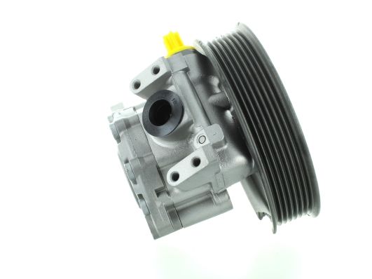 GKNY10021 GKN-SPIDAN - Насос гідропідсилювача керма