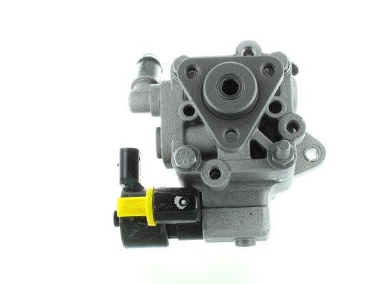 GKNY10025 GKN-SPIDAN - Насос гідропідсилювача керма