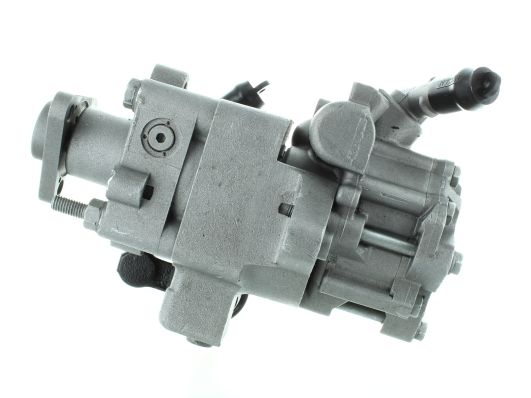 GKNY10025 GKN-SPIDAN - Насос гідропідсилювача керма