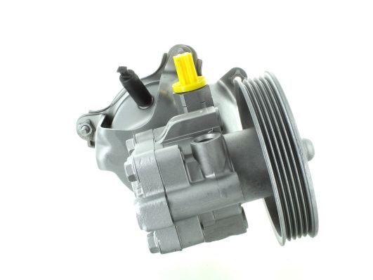 GKNY10026 GKN-SPIDAN - Насос гідропідсилювача керма