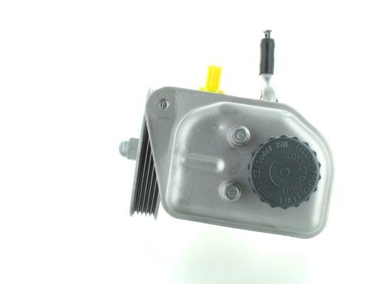 GKNY10027 GKN-SPIDAN - Насос гідропідсилювача керма