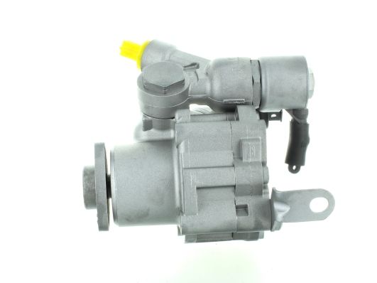 GKNY10029 GKN-SPIDAN - Насос гідропідсилювача керма