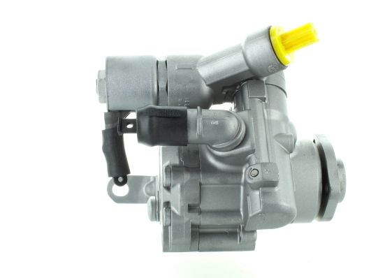 GKNY10029 GKN-SPIDAN - Насос гідропідсилювача керма
