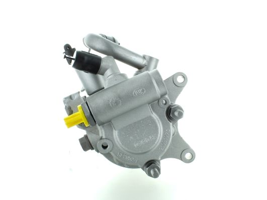 GKNY10030 GKN-SPIDAN - Насос гідропідсилювача керма