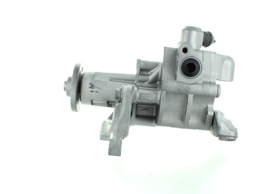 GKNY10031 GKN-SPIDAN - Насос гідропідсилювача керма