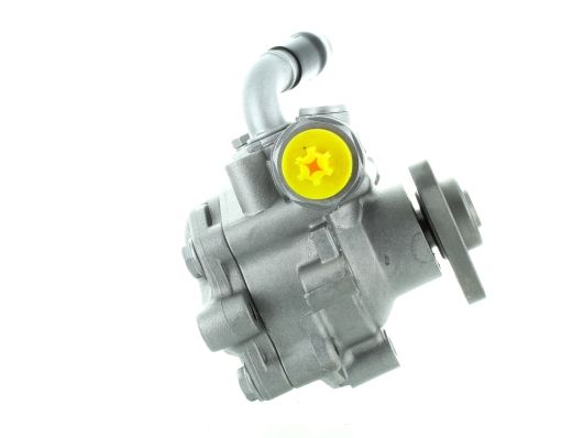 GKNY10032 GKN-SPIDAN - Насос гідропідсилювача керма