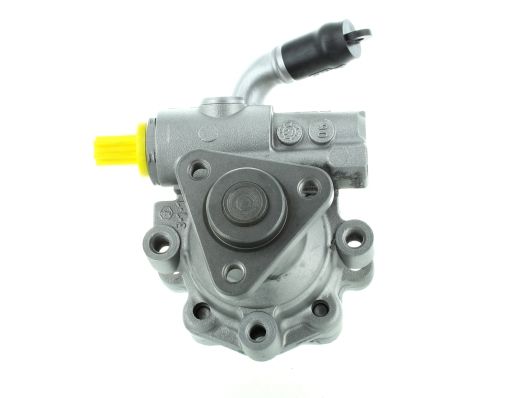 GKNY10032 GKN-SPIDAN - Насос гідропідсилювача керма