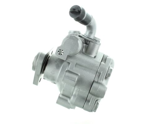 GKNY10032 GKN-SPIDAN - Насос гідропідсилювача керма