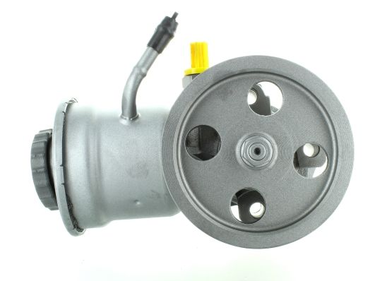 GKNY10033 GKN-SPIDAN - Насос гідропідсилювача керма