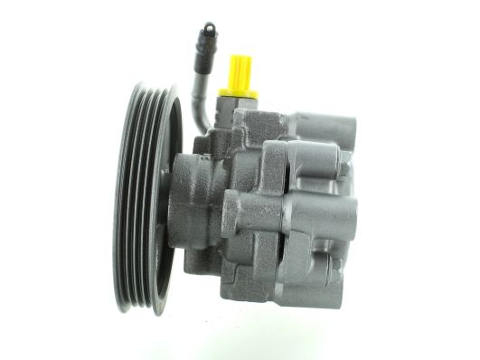 GKNY10033 GKN-SPIDAN - Насос гідропідсилювача керма