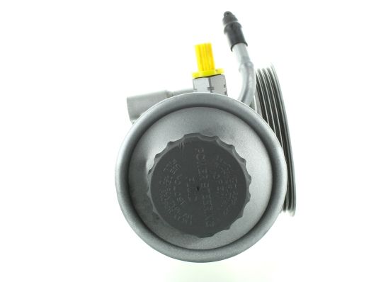 GKNY10033 GKN-SPIDAN - Насос гідропідсилювача керма
