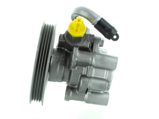 GKNY10035 GKN-SPIDAN - Насос гідропідсилювача керма