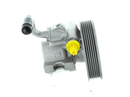 GKNY10037 GKN-SPIDAN - Насос гідропідсилювача керма