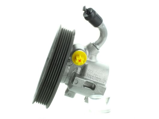 GKNY10039 GKN-SPIDAN - Насос гідропідсилювача керма
