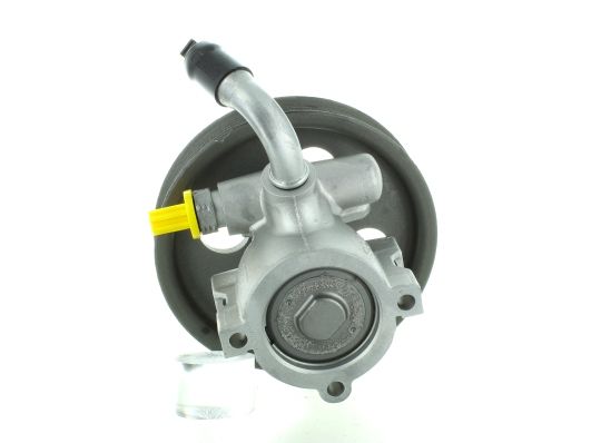 GKNY10039 GKN-SPIDAN - Насос гідропідсилювача керма