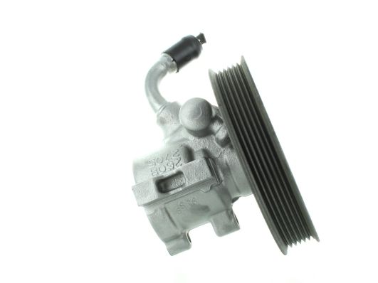 GKNY10039 GKN-SPIDAN - Насос гідропідсилювача керма