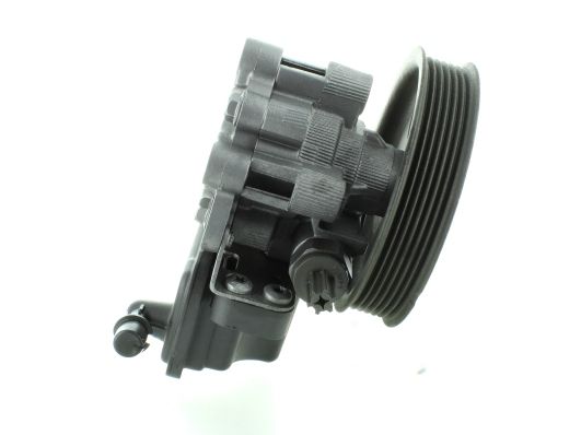 GKNY10040 GKN-SPIDAN - Насос гідропідсилювача керма