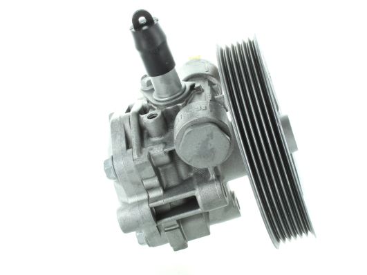 GKNY10044 GKN-SPIDAN - Насос гідропідсилювача керма