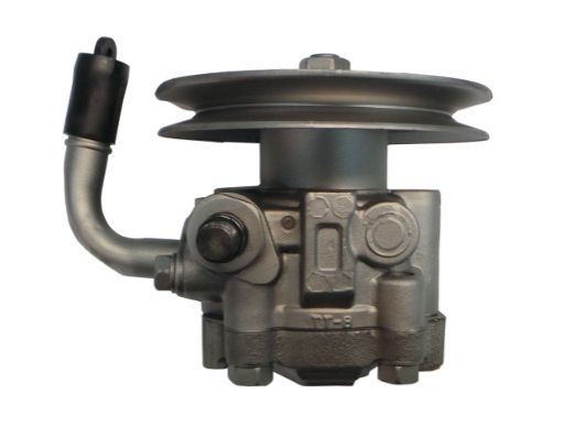 GKNY10049 GKN-SPIDAN - Насос гідропідсилювача керма
