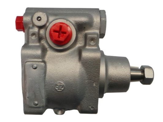 GKNY10050 GKN-SPIDAN - Насос гідропідсилювача керма