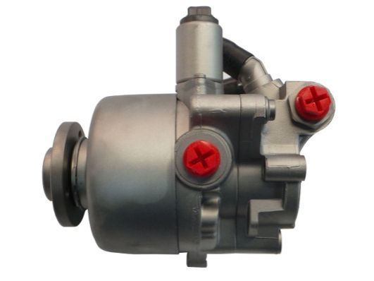 GKNY10054 GKN-SPIDAN - Насос гідропідсилювача керма