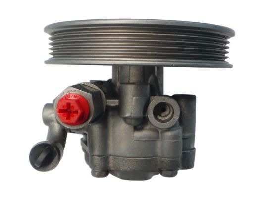 GKNY10056 GKN-SPIDAN - Насос гідропідсилювача керма