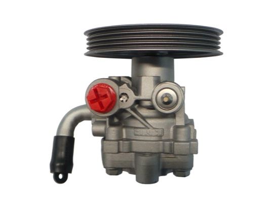 GKNY10057 GKN-SPIDAN - Насос гідропідсилювача керма