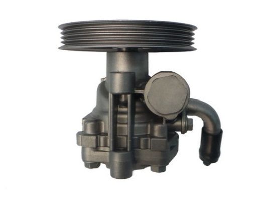 GKNY10057 GKN-SPIDAN - Насос гідропідсилювача керма